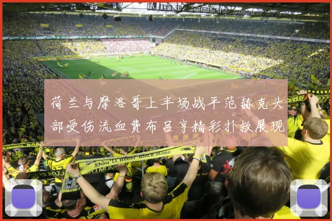 荷兰与摩洛哥上半场战平范赫克头部受伤流血费布吕亨精彩扑救展现实力